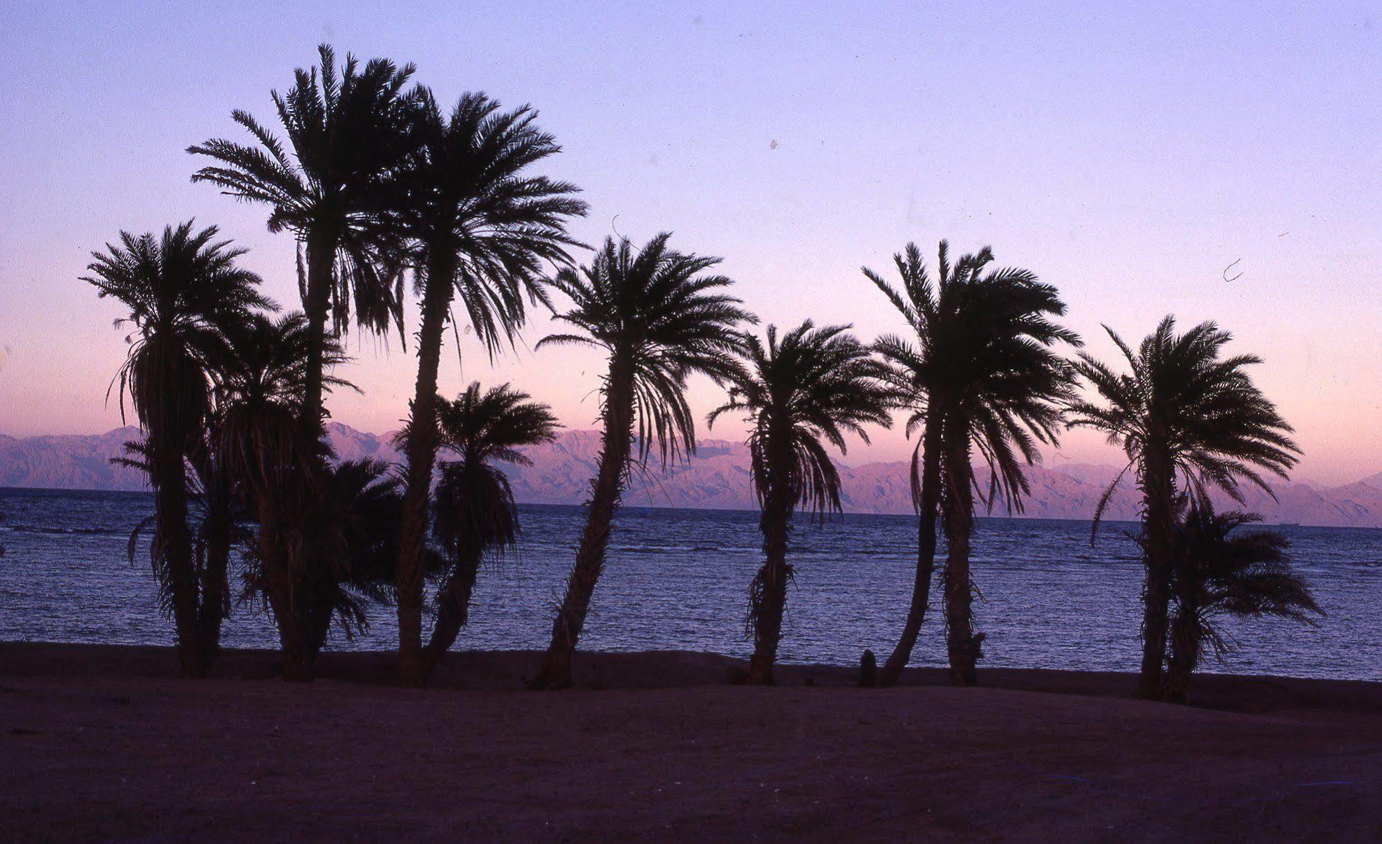 Star Of Dahab Hotel Exteriör bild